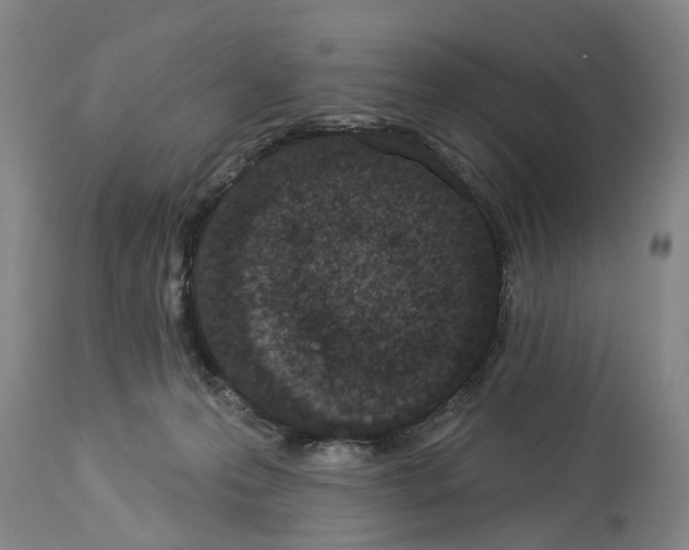 X0000114000223200911131148