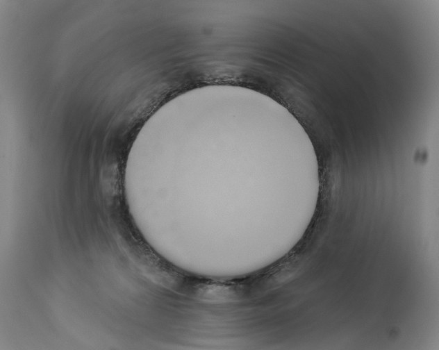 X0000114000224200911131148