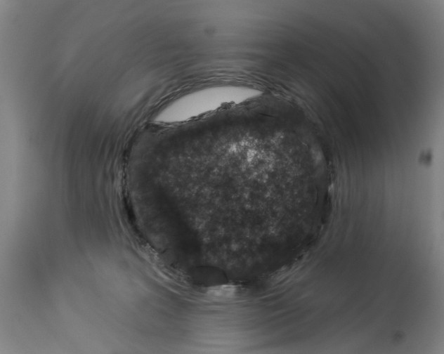 X0000114000227200911131148
