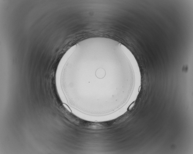 X0000114000229200911131148