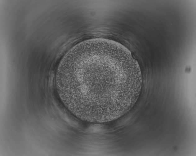 X0000114000231200911131148
