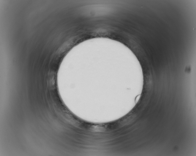 X0000114000232200911131148
