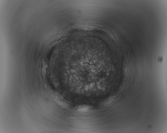 X0000114000235200911131148
