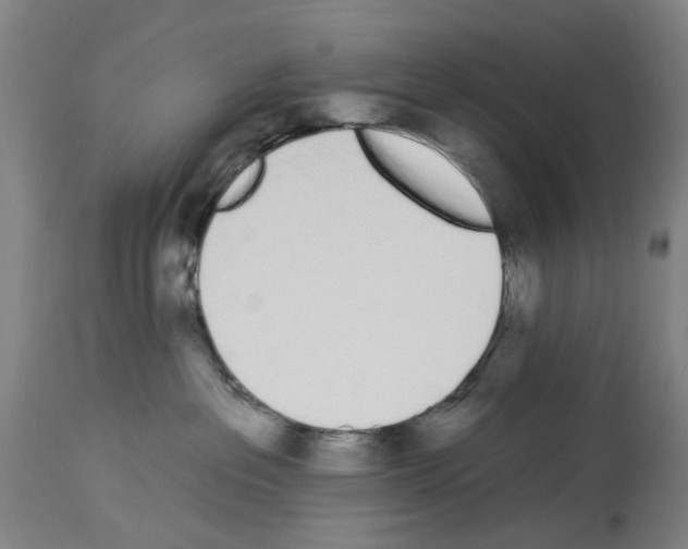 X0000114000237200911131148