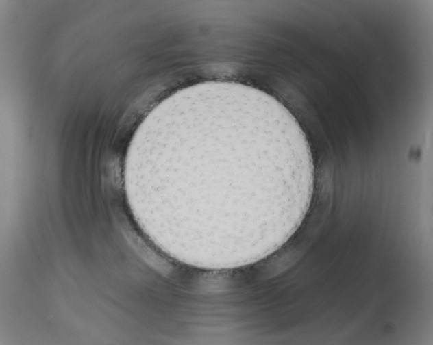 X0000114000238200911131148