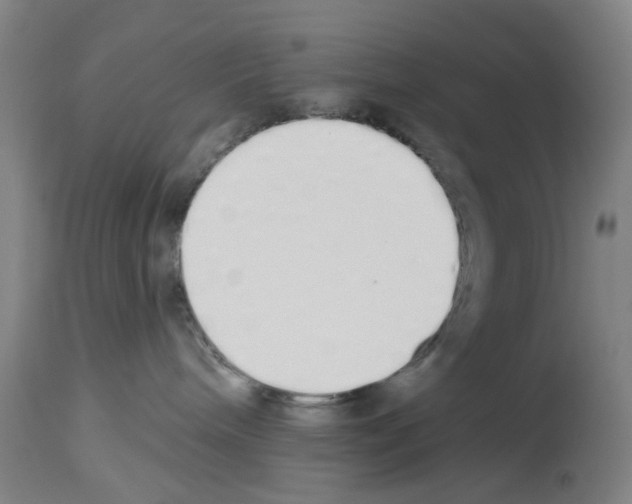 X0000114000240200911131148