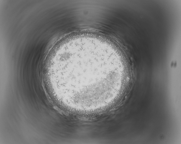 X0000114000241200911131147