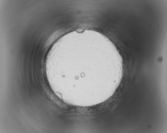 X0000114000242200911131147