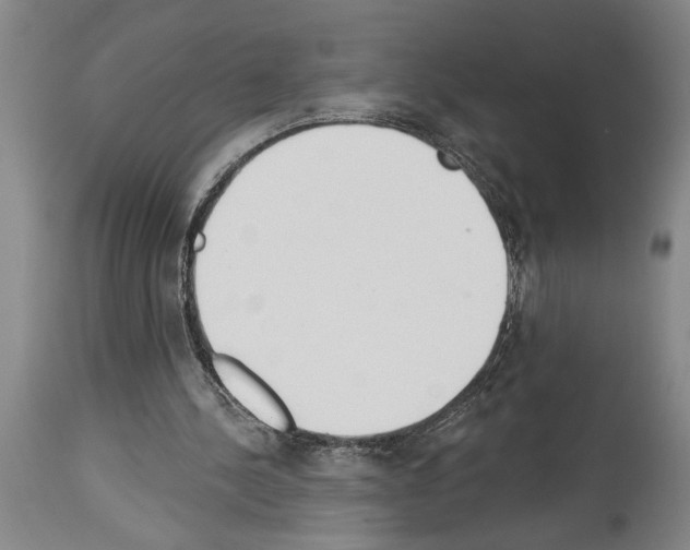 X0000114000244200911131147