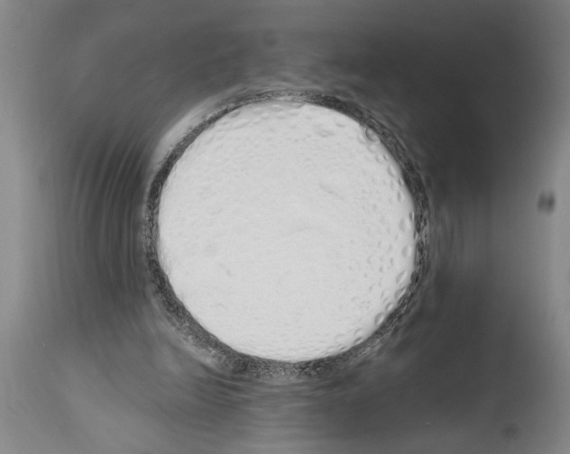 X0000114000246200911131147