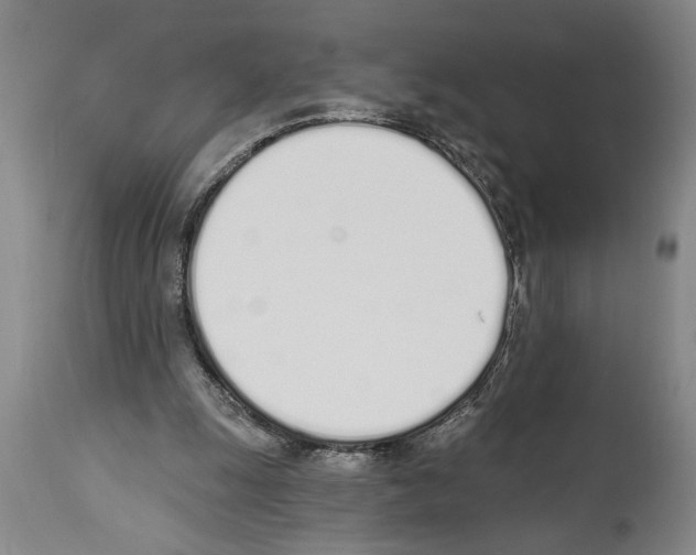 X0000114000247200911131147