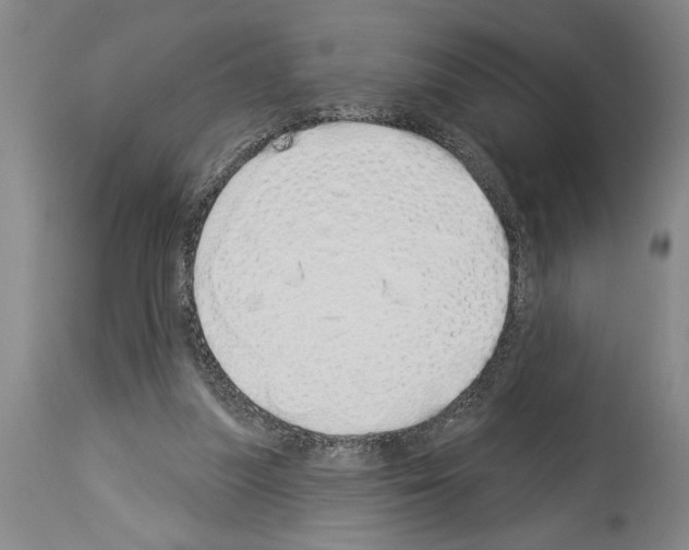 X0000114000251200911131147