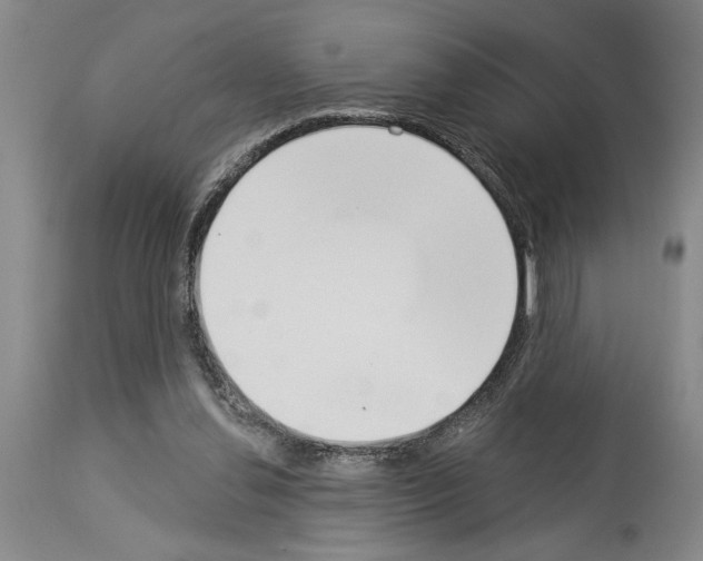 X0000114000252200911131147