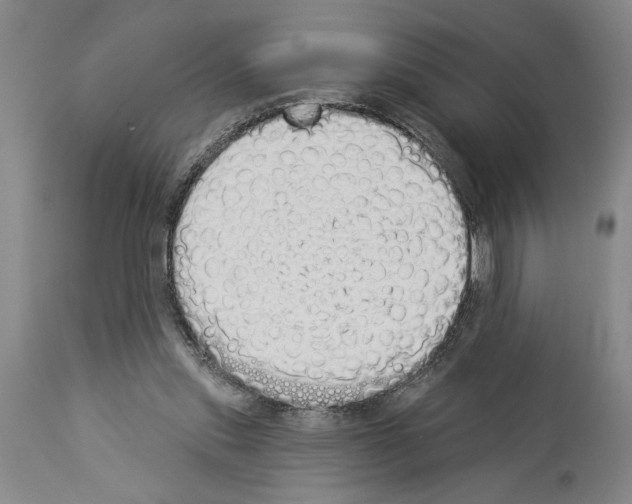 X0000114000253200911131147