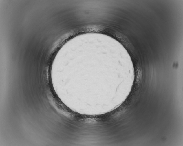 X0000114000254200911131147