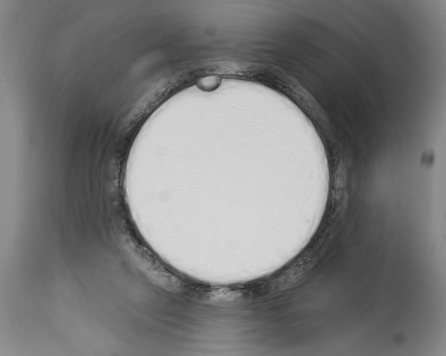 X0000114000257200911131147