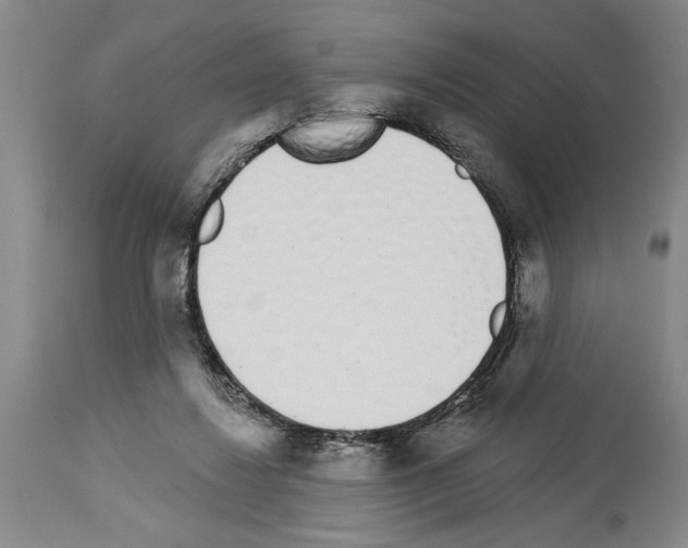 X0000114000260200911131147
