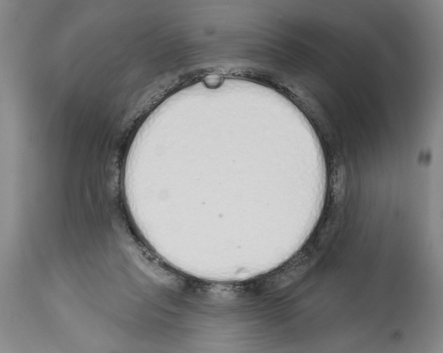 X0000114000261200911131147