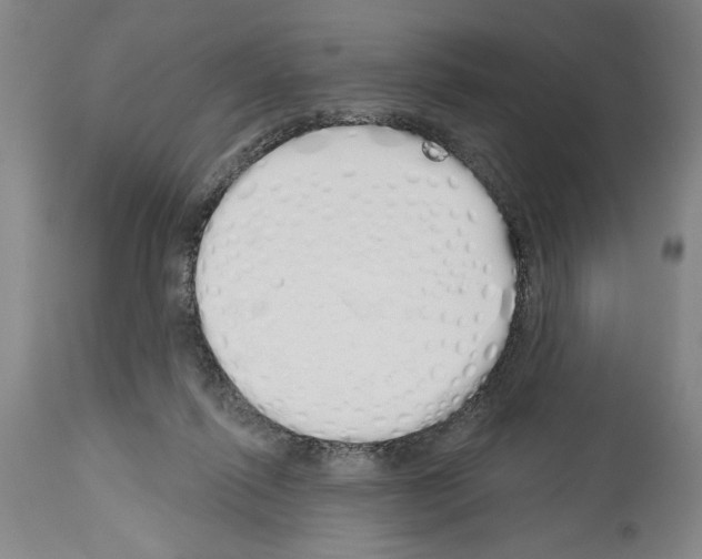 X0000114000262200911131147
