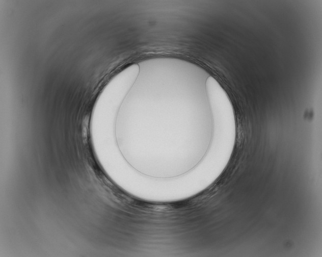 X0000114000264200911131147