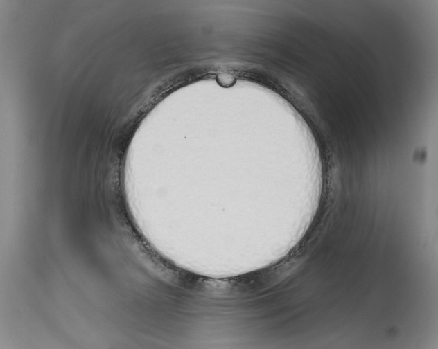 X0000114000265200911131147