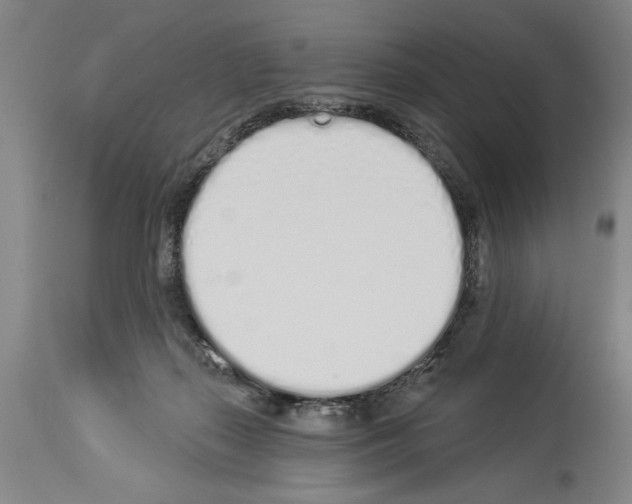 X0000114000267200911131147