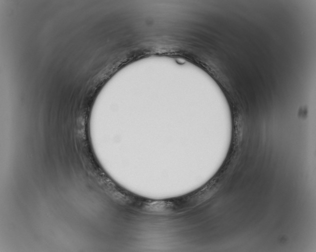 X0000114000269200911131147