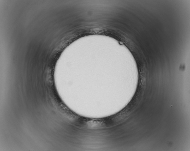 X0000114000270200911131147