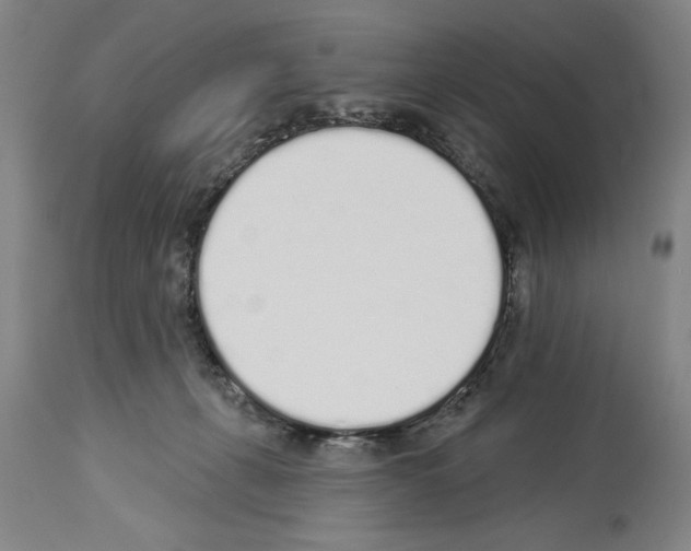 X0000114000271200911131147