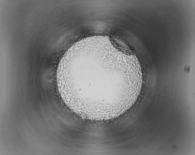 X0000114000272200911131147