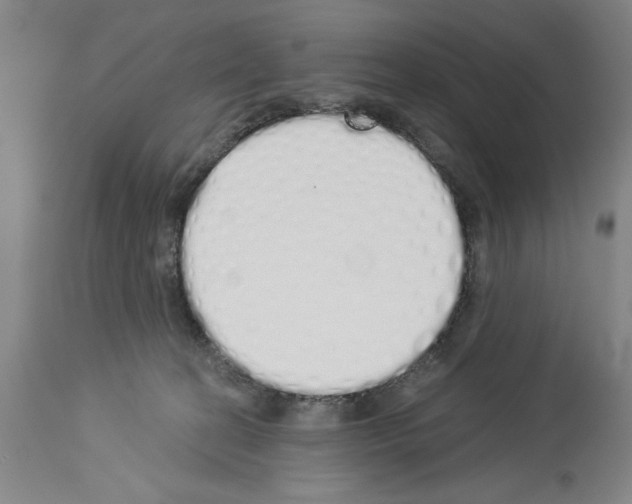 X0000114000274200911131147