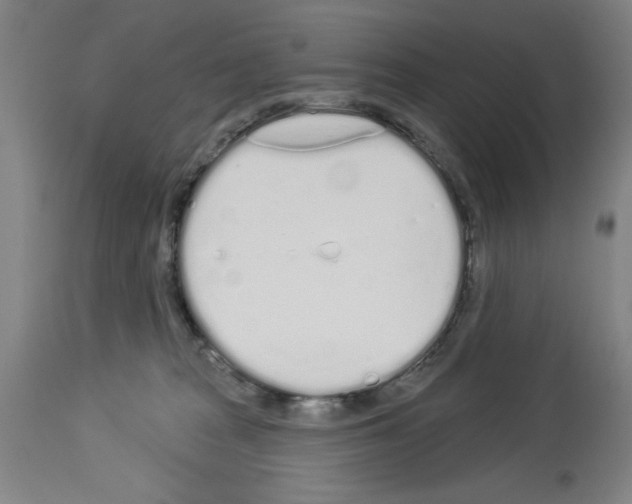 X0000114000277200911131148