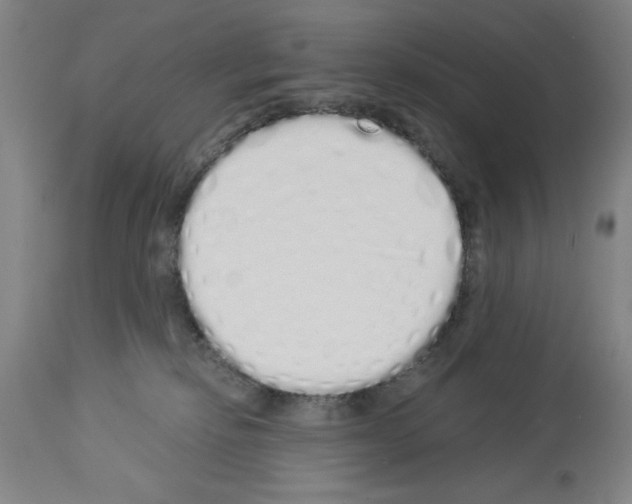 X0000114000278200911131148