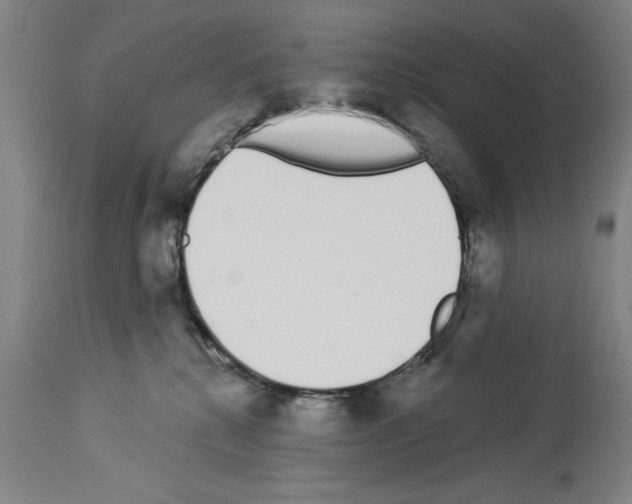 X0000114000280200911131148
