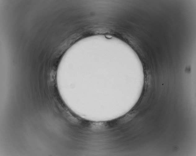 X0000114000281200911131148