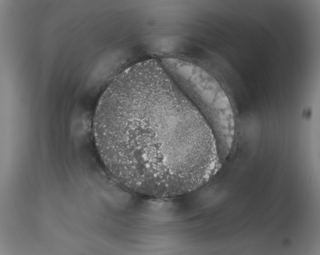 X0000114000284200911131148