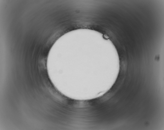 X0000114000286200911131148
