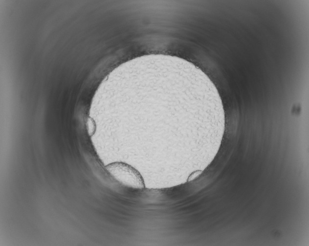 X0000114000287200911131148