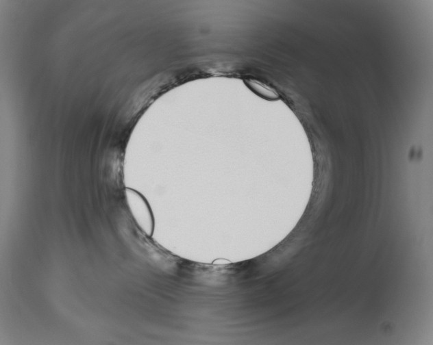 X0000114000288200911131148