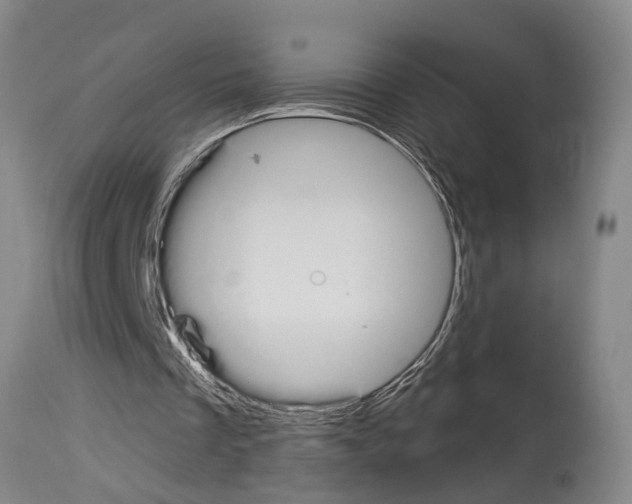 X0000114000289200911131147