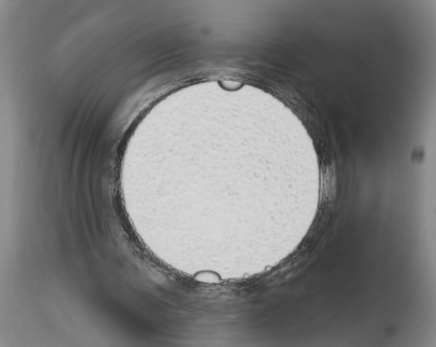 X0000114000291200911131147