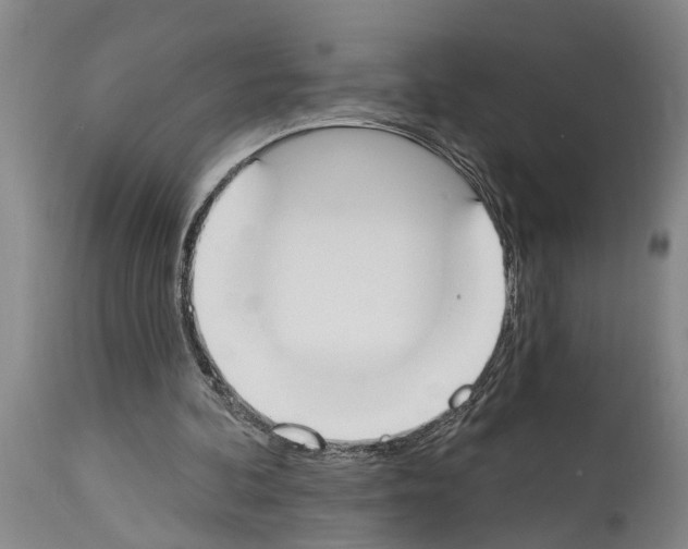 X0000114000292200911131147