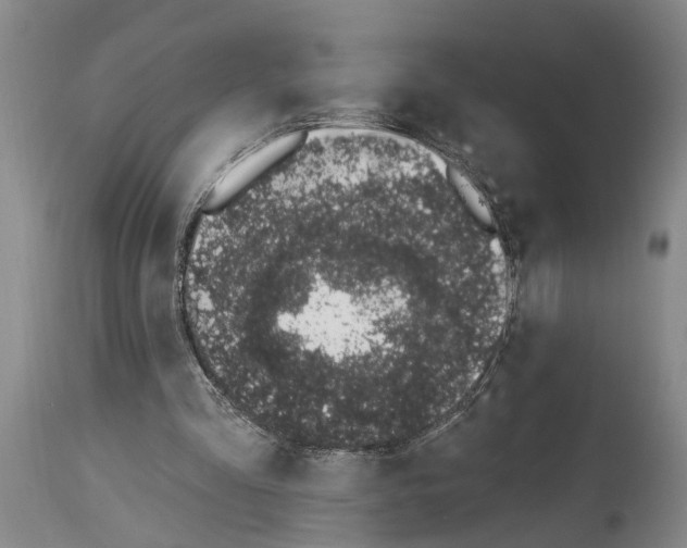 X0000114000293200911131147