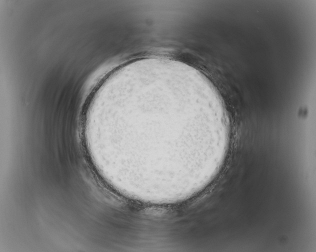 X0000114000294200911131147