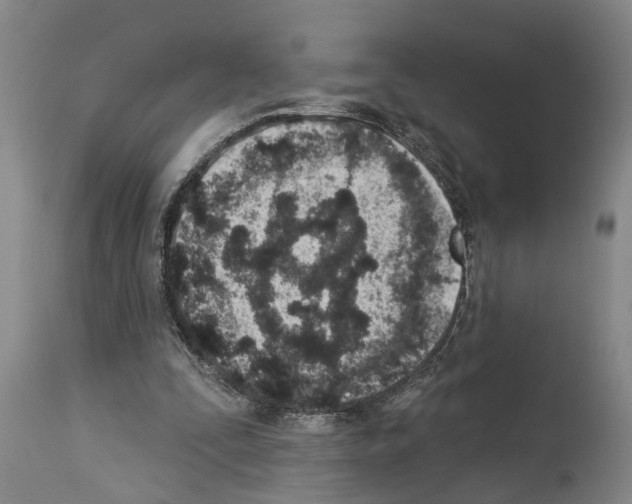 X0000114000295200911131147