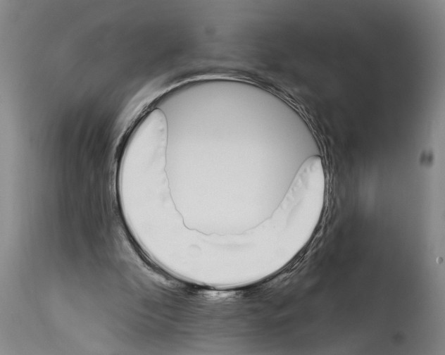 X0000114000296200911131147