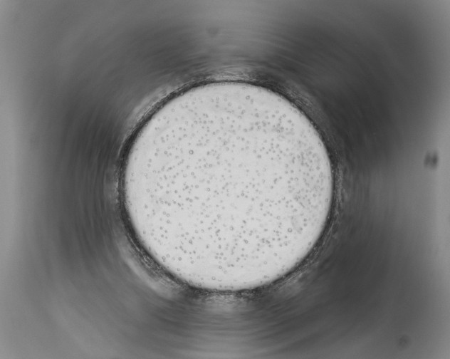 X0000114000298200911131147