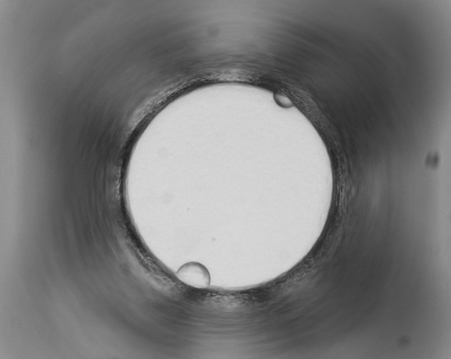 X0000114000299200911131147