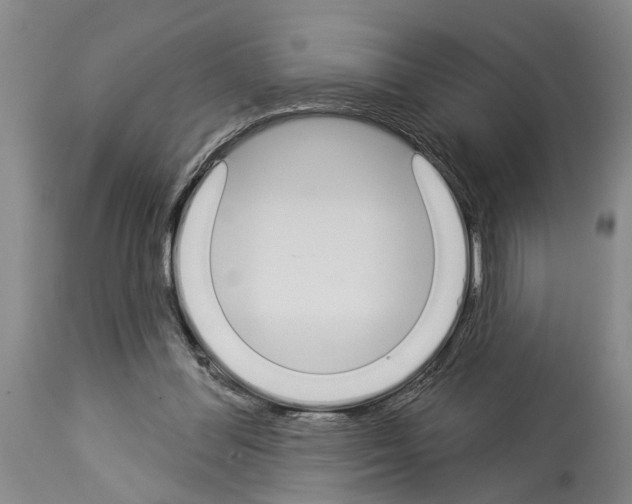 X0000114000300200911131147
