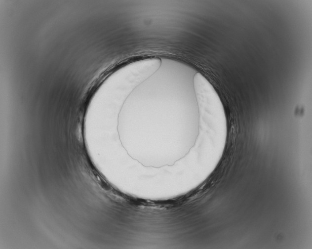 X0000114000304200911131147